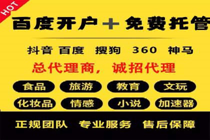 百度推广费用投入与用户转化路径的优化案例